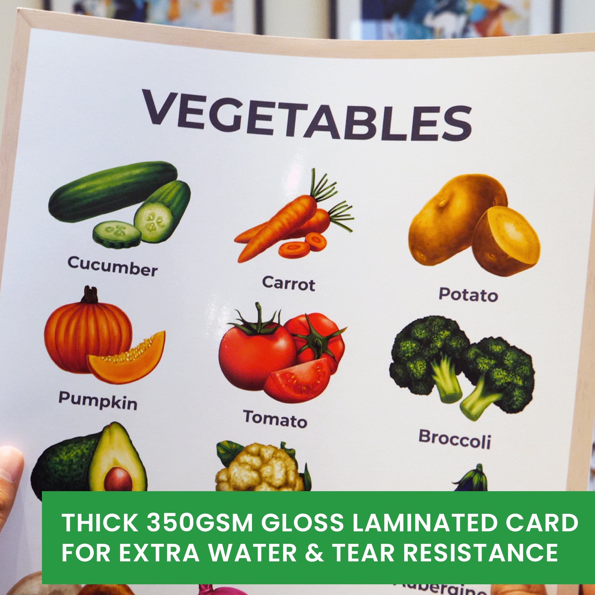 Educational Posters for Toddlers Collection (A3, 12 Pack)