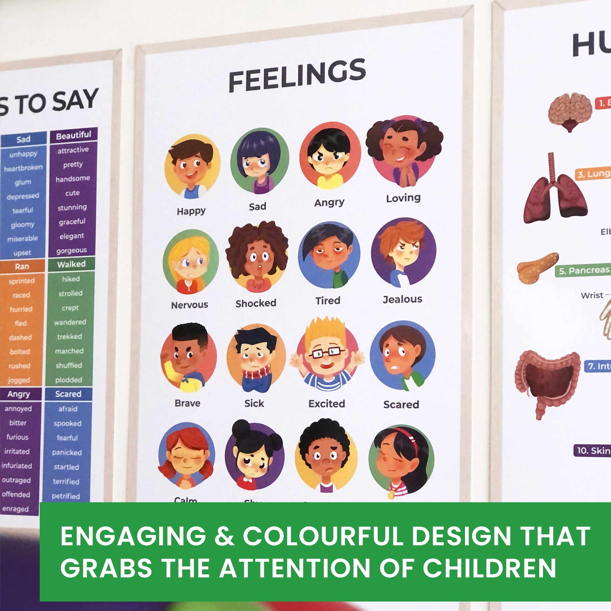 Educational Posters for Children Collection (A3, 12 Pack)