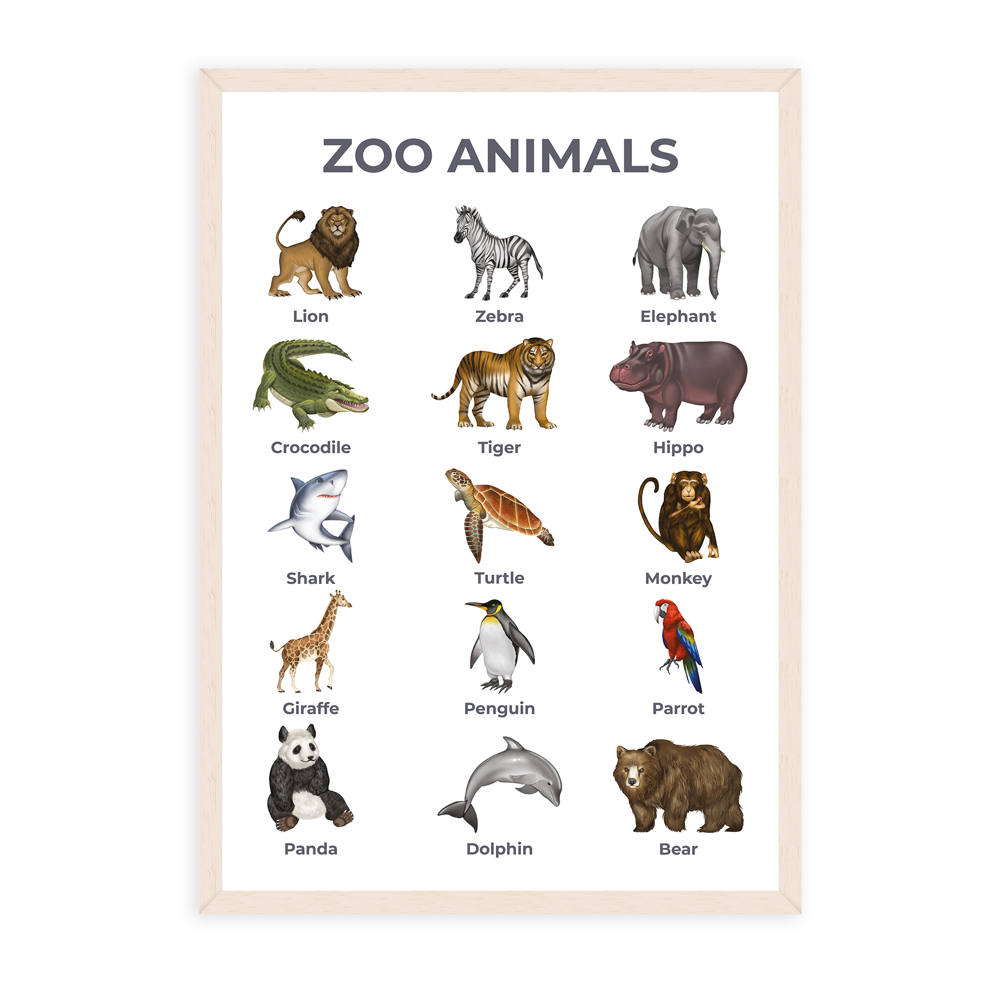 Zoo Animals Poster - Educational Wall Chart (A3)