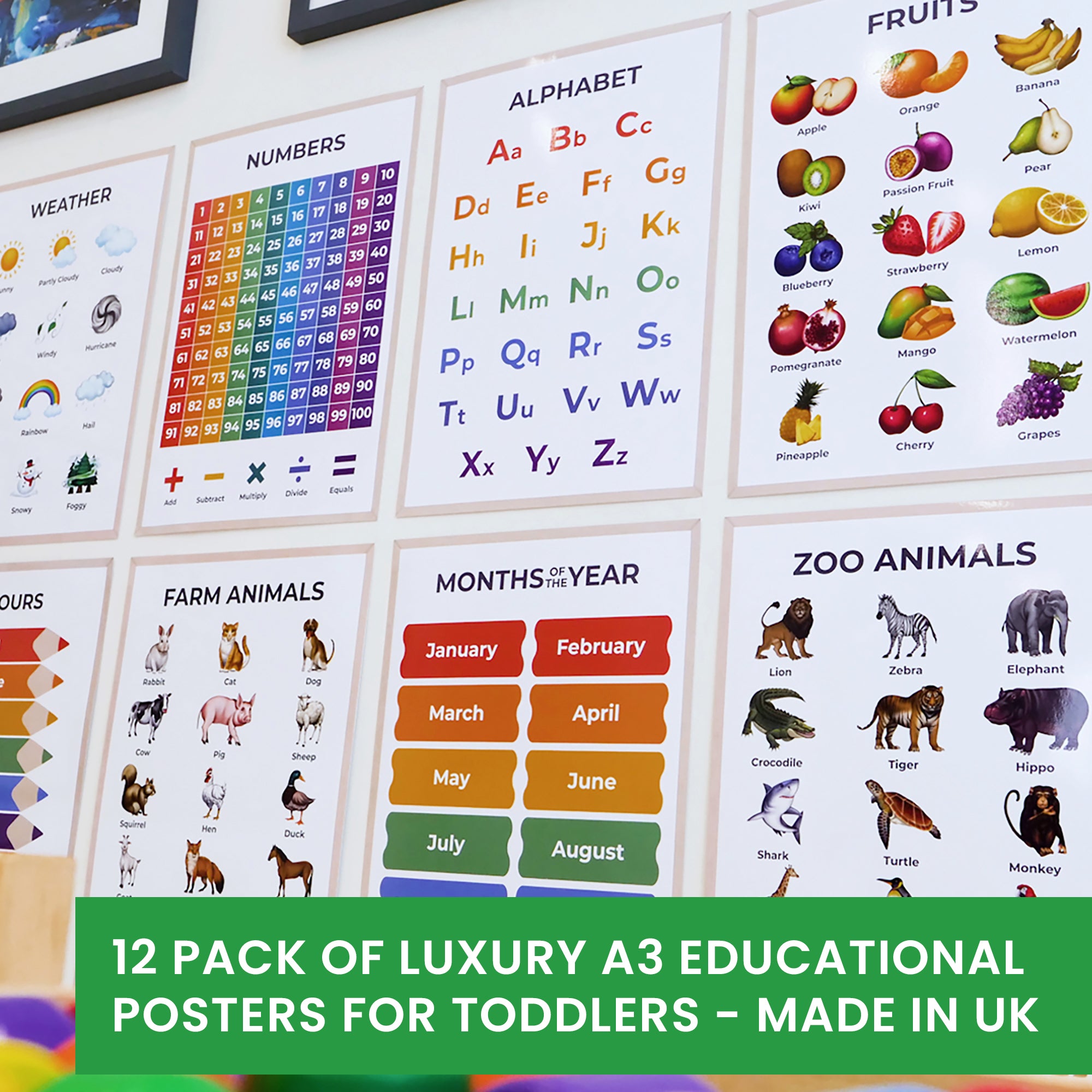 Educational Posters for Toddlers Collection (A3, 12 Pack